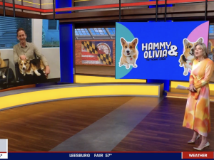 Hammy & Olivia talk going viral, new cookbook “Barkcuterie”